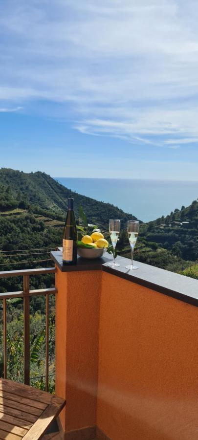 Вілла ☆ Terrace & Relax ☆ Casa Franceschin_ Homy 5 Terre Ріомаджоре Екстер'єр фото
